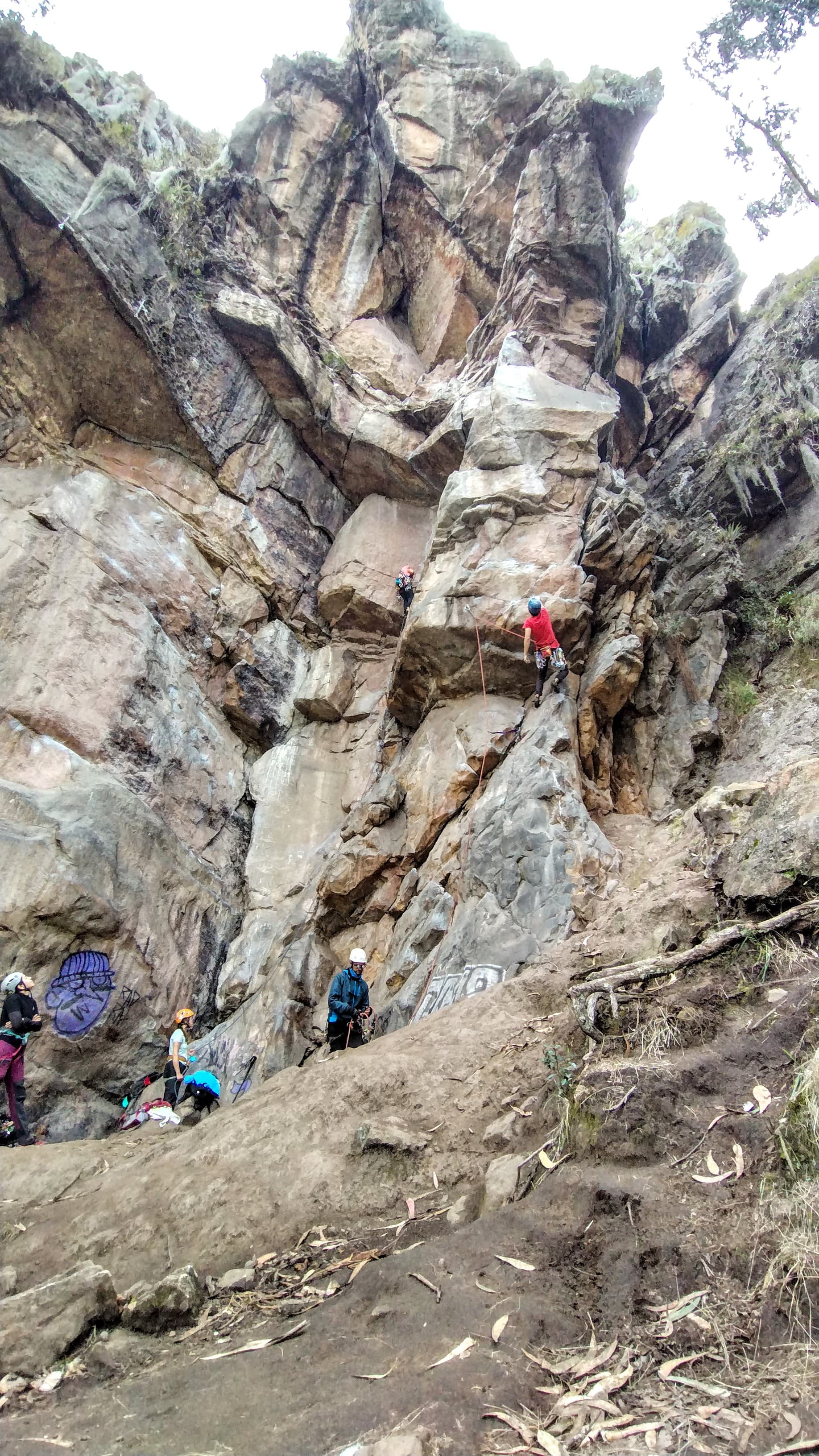 Grupo de aventureros disfrutando de la escalada