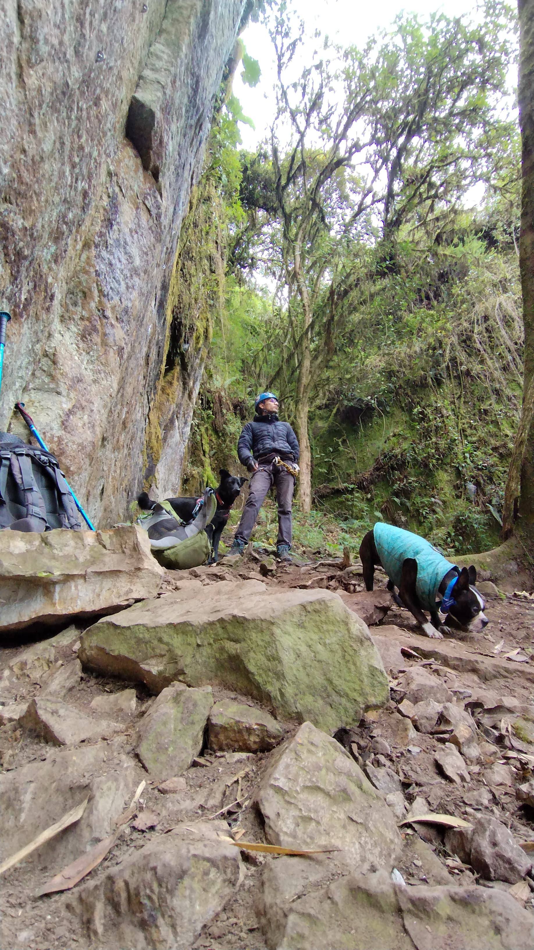 Escaladores celebrando en la cima de la montaña